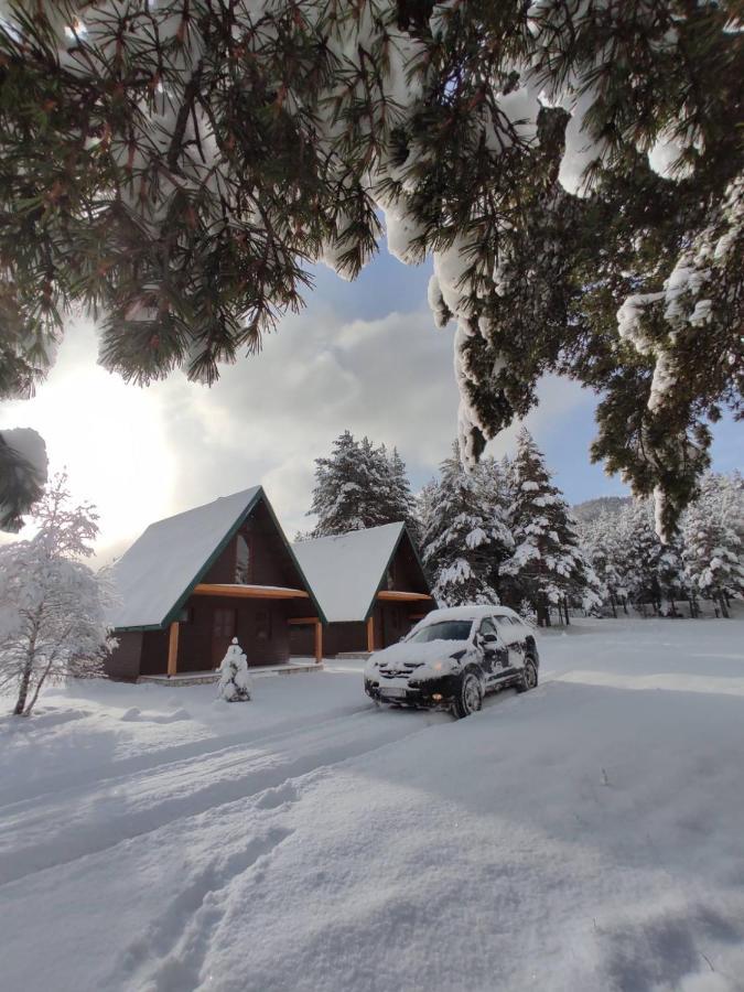 North Star Zabljak エクステリア 写真